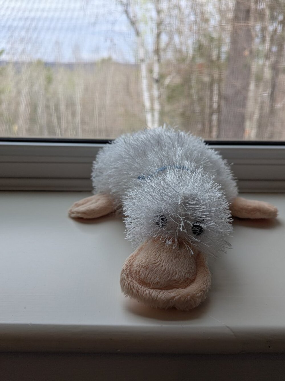 Webkinz - Googles - no code